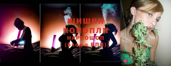прущие грибы Иннополис