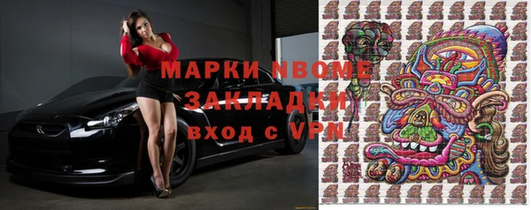 прущие грибы Иннополис