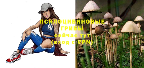 прущие грибы Иннополис