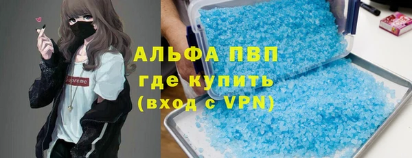 прущие грибы Иннополис