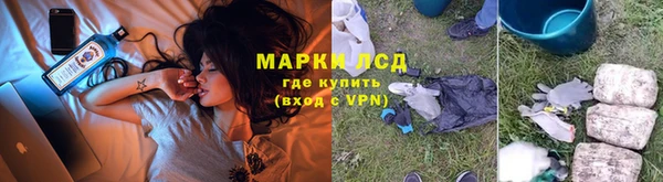 прущие грибы Иннополис